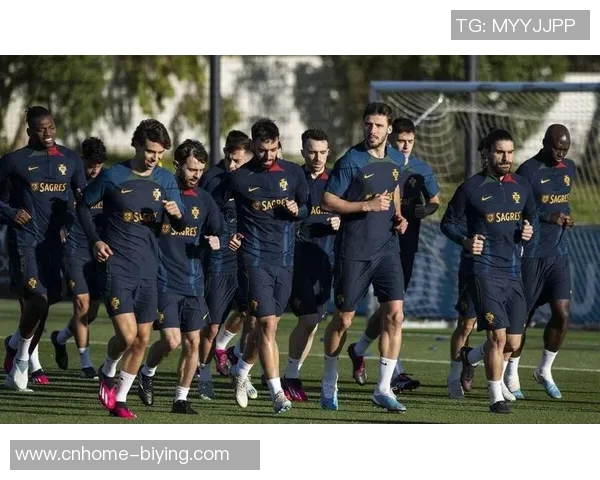 葡萄牙与波黑激战正酣谁能在国际赛场上笑到最后